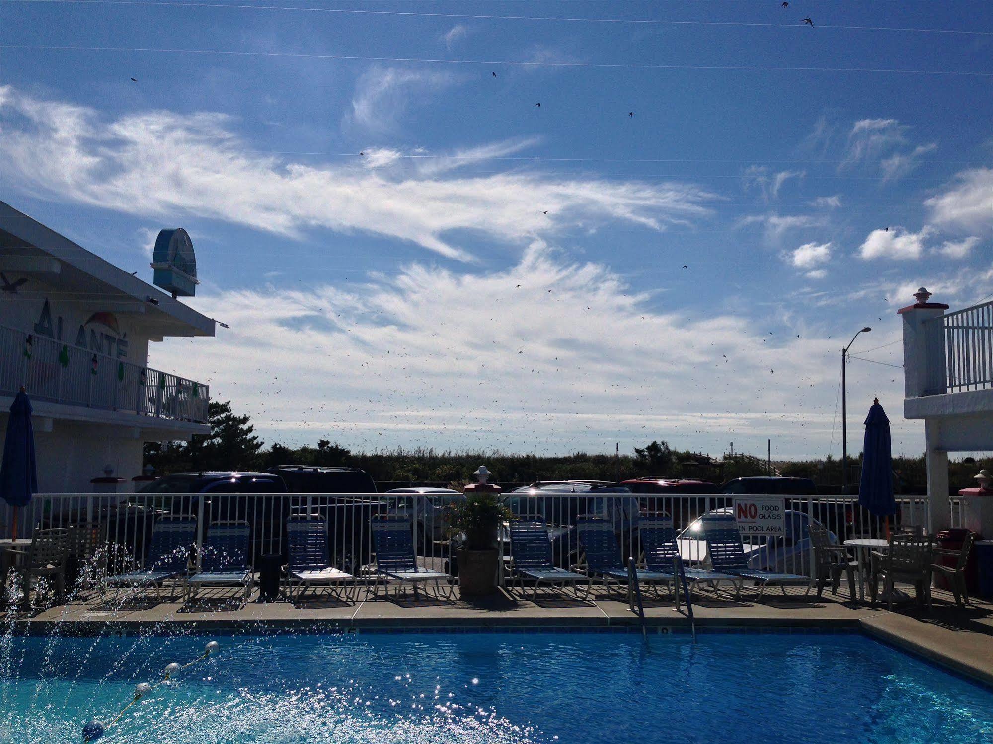 Hotel Alante Oceanfront Motor North Wildwood Esterno foto
